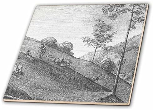 3dRose Klasszikus Művészet Pásztor Birka, Kecske, a Domb oldalán Állat Tartási Bárányok - Csempe (ct-371863-2)