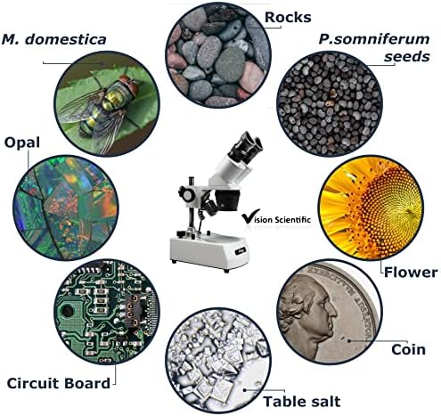 Látás Tudományos VMS0002-LD-13-ES2 Binokuláris Sztereó Mikroszkóp, WF10x, valamint WF20x Szemlencse, 1x pedig 3X Célok, 10x,