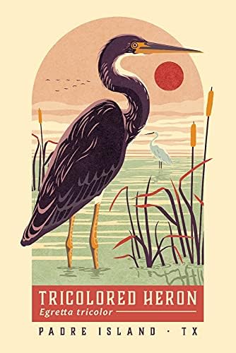 Lámpás Nyomja meg a Padre Island, Texas, Shorebirds napnyugtakor Gyűjtemény, Tricolored Gém, Madár, Kontúr ( Pamut Vászon