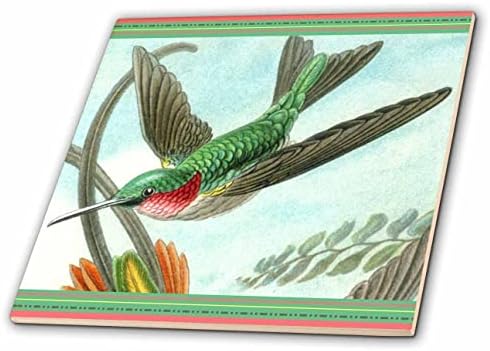 3dRose Ruby Torkú Kolibri Repülés Színes Szüreti Madár Art Print - Csempe (ct-365404-7)